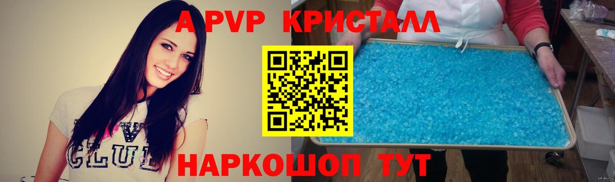 APVP СК КРИС Кузнецк