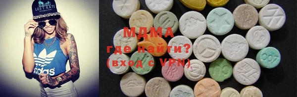 молекула духа Богданович