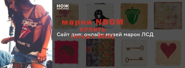 молекула духа Богданович
