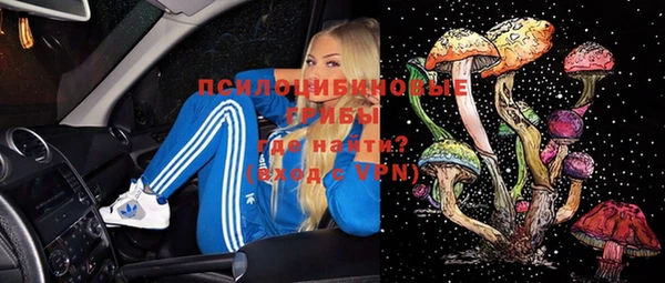 молекула духа Богданович