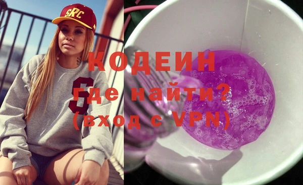 молекула духа Богданович