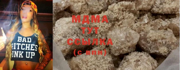 молекула духа Богданович