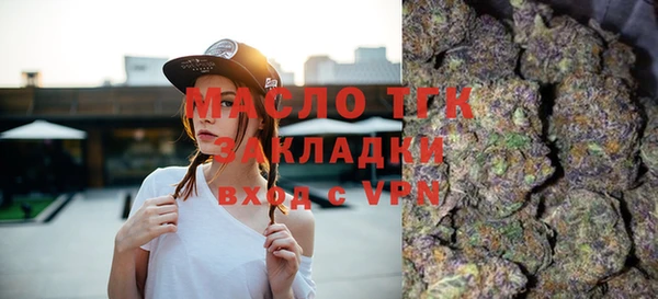 молекула духа Богданович