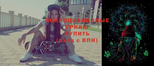 молекула духа Богданович