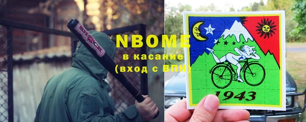 молекула духа Богданович