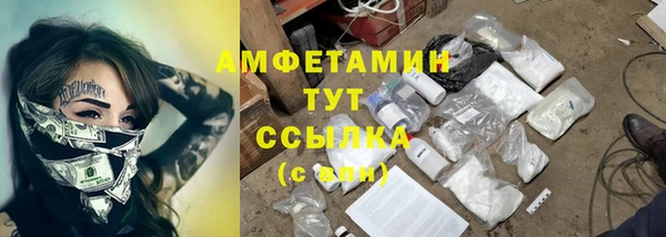 молекула духа Богданович