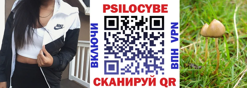 блэк спрут зеркало  Кузнецк  Галлюциногенные грибы мицелий  купить  цена 